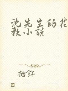 沈先生的花式管教小说