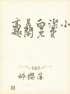 高义白洁小说笔趣阁免费