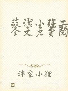 苏洁小强工地情全文免费阅读