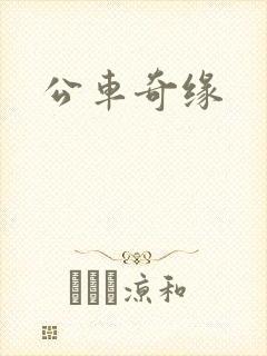 公车奇缘
