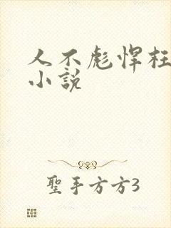 人不彪悍枉少年小说