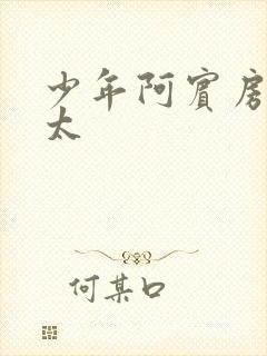 少年阿宾房东太太