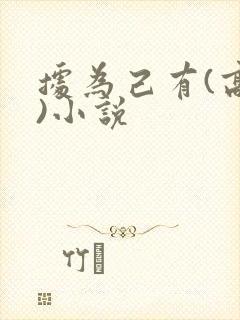 据为己有(高干)小说