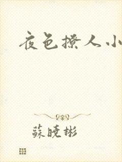 夜色撩人小说