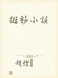 挺动小说
