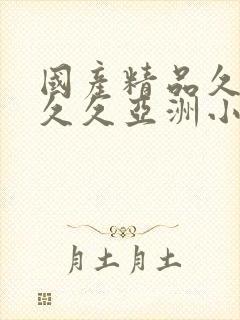 国产精品久久久久久亚洲小说