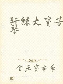 轩辕大宝芳菲雅琴