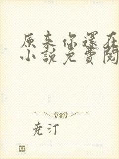 原来你还在这里小说免费阅读