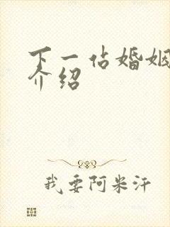 下一站婚姻剧情介绍