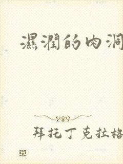 湿润的肉洞