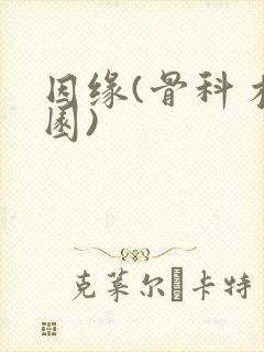 因缘(骨科 校园)