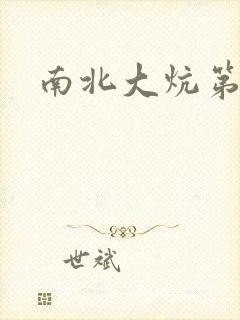 南北大炕第一部