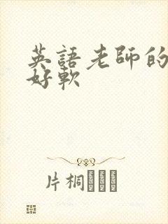 英语老师的兔子好软
