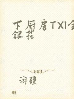 下厨房TXl金银花