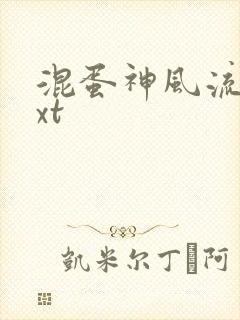 混蛋神风流史txt