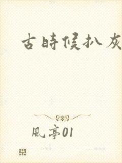 古时候扒灰小说