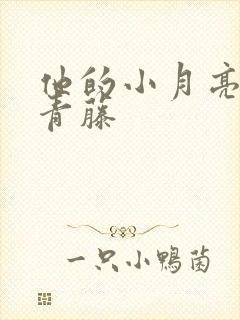 他的小月亮by青藤