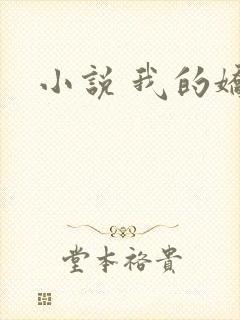 小说 我的娇妻