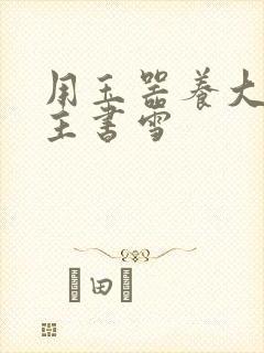 用玉器养大的公主书雪