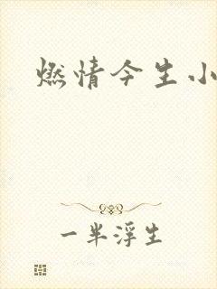 燃情今生小说
