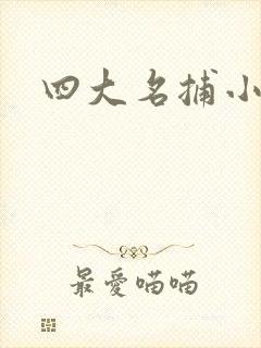 四大名捕小说