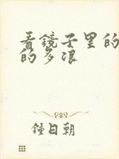 看镜子里的你叫的多浪