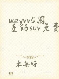 weyvv5国产的suv免费