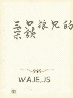 三只狼兄的宠妻宋钦