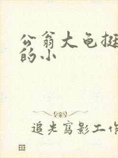 公翁大龟挺进我的小