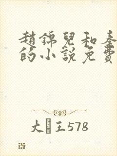 赵锦儿和秦慕修的小说免费阅读全文