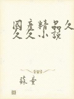 国产精品久久久久久小说