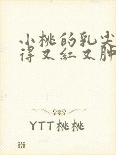 小桃的乳尖被吸得又红又肿