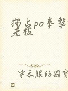 独占po拳击馆老板