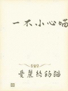 一不小心喵上你