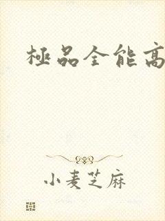 极品全能高手