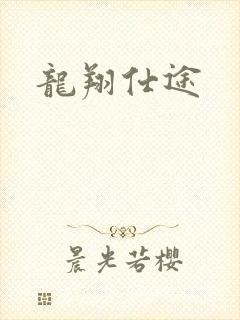 龙翔仕途