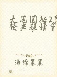 大团圆结2闪闪发光亲情会