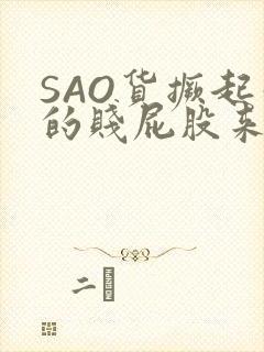 SAO货撅起你的贱屁股来