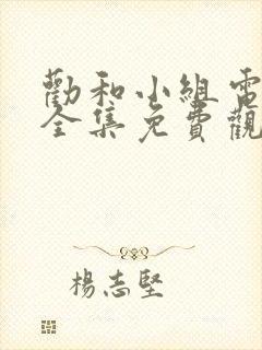 劝和小组电视剧全集免费观看