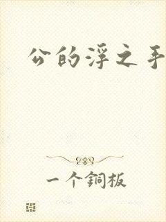 公的浮之手中字