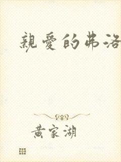 亲爱的弗洛伊德