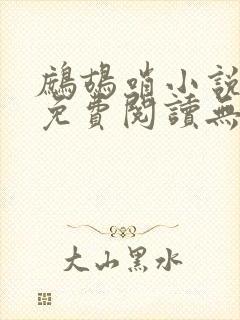 鹧鸪哨小说网站免费阅读无弹窗