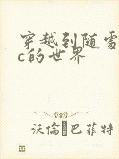 穿越到随处可以c的世界