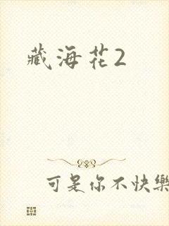 藏海花2
