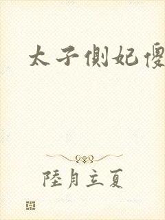 太子侧妃傻乎乎