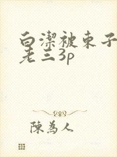 白洁被东子老二老三3p