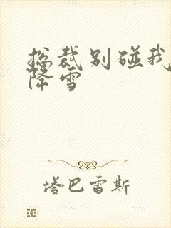 总裁别碰我 韩降雪