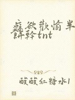 瘾欲欢愉半块小饼干tnt