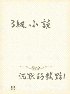 3级小说