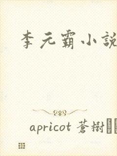 李元霸小说